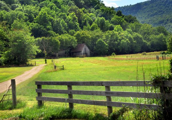 Landscape image of old barn surrounded by Arkansas mountains and trees. Barn is wooden, weathered and has a rusty tin roof. Gravel road enters farm.